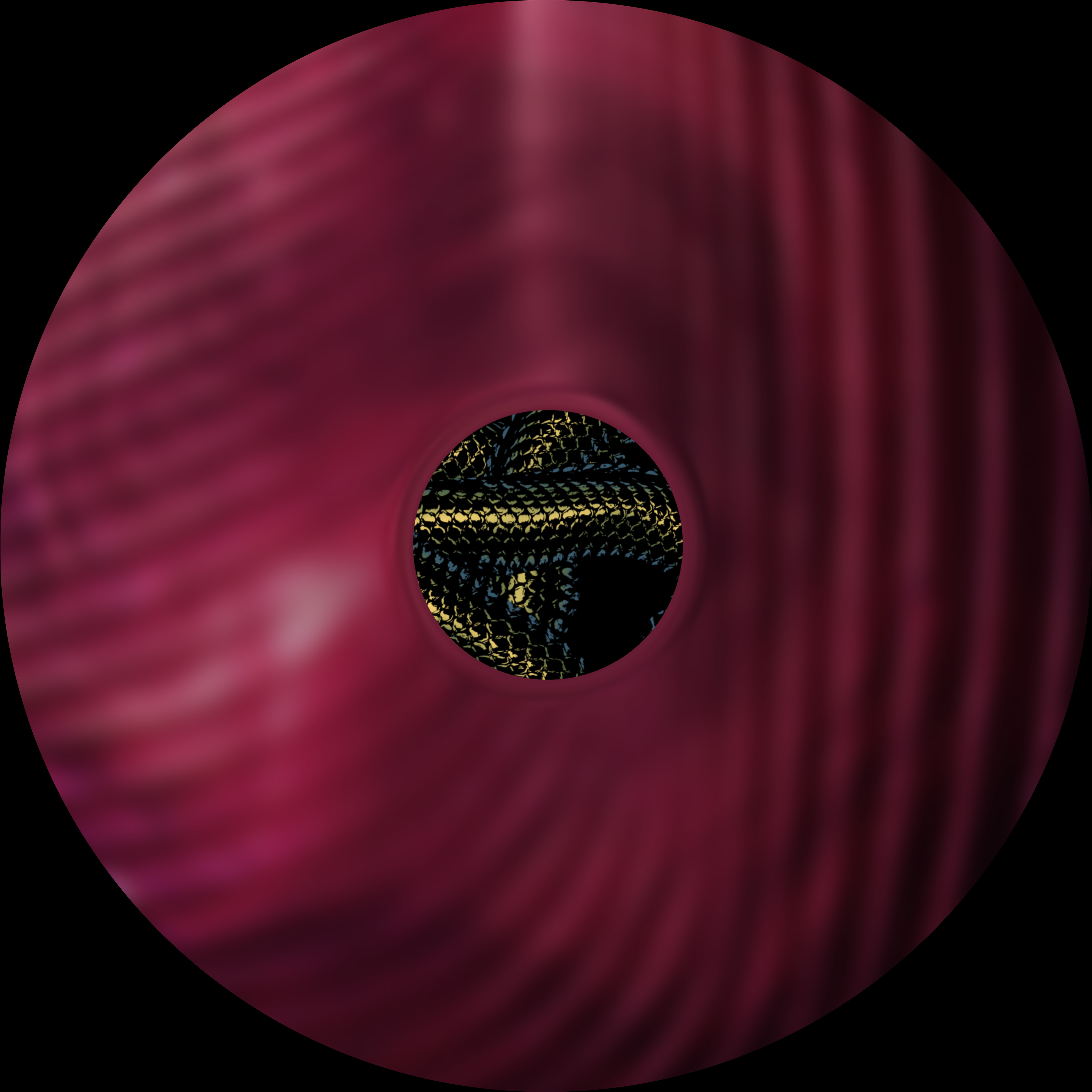 Die drei ??? und die singende Schlange - Image 15