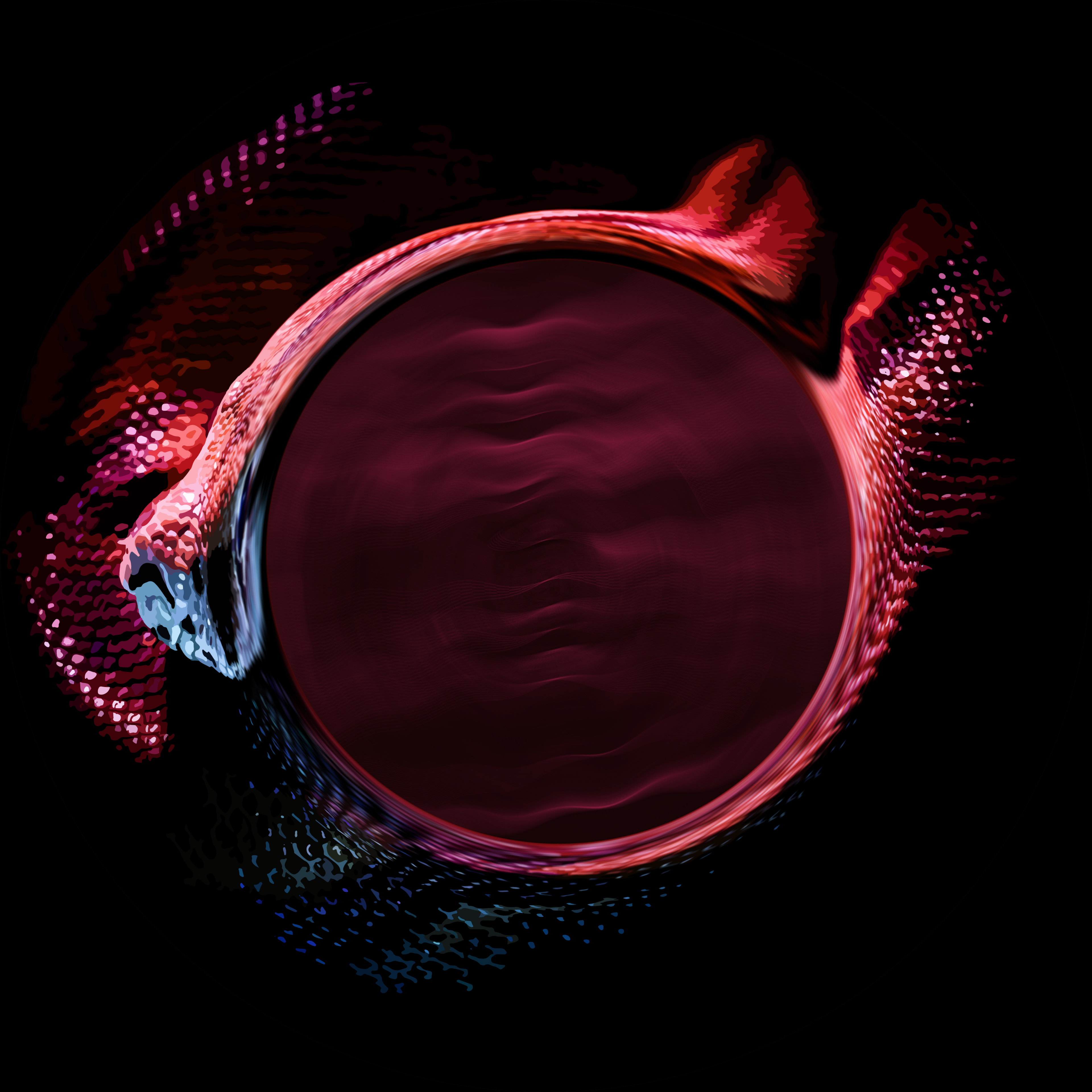 Die drei ??? und die singende Schlange - Image 12