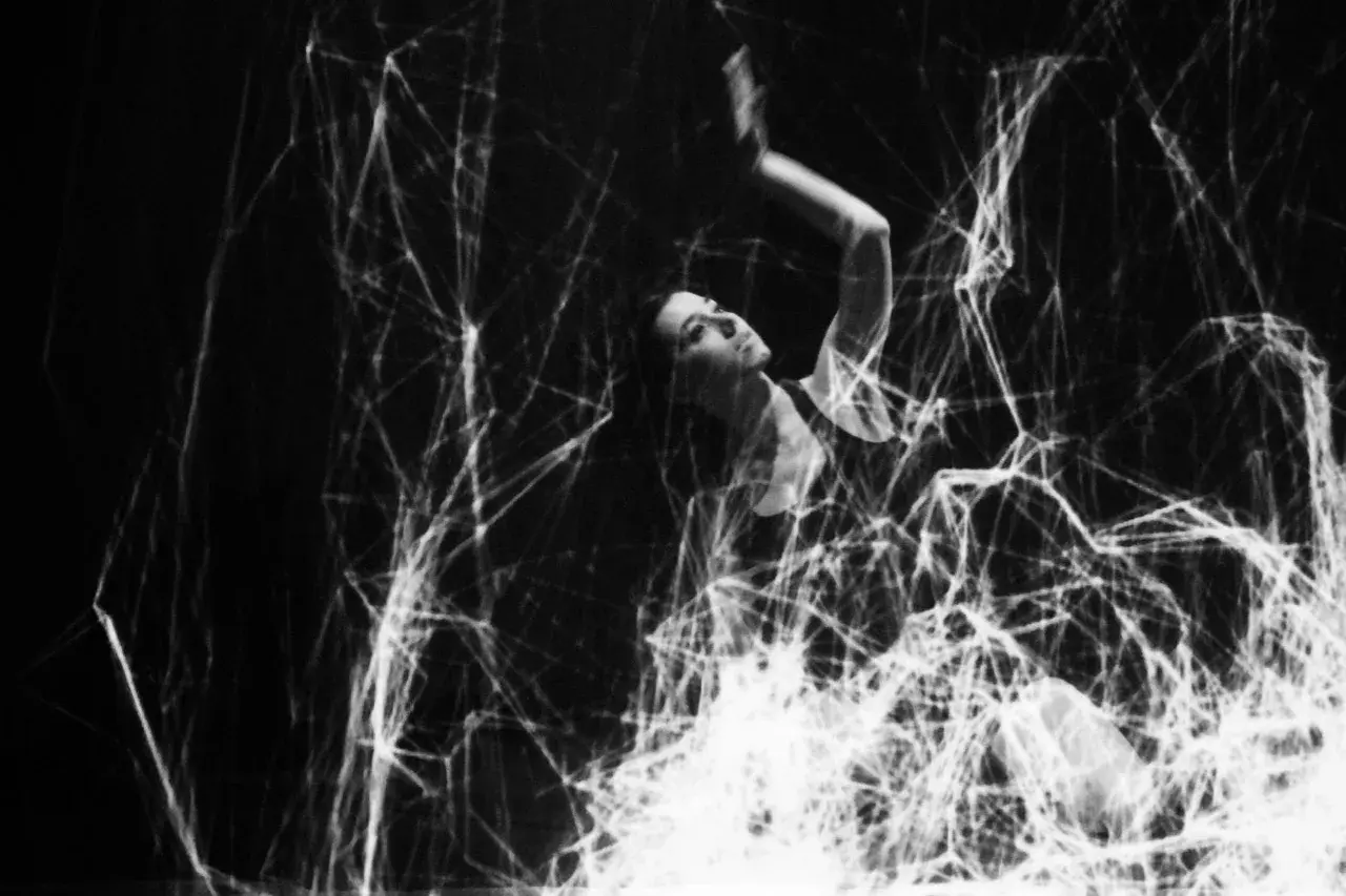 Black Body Radiation - Image 13